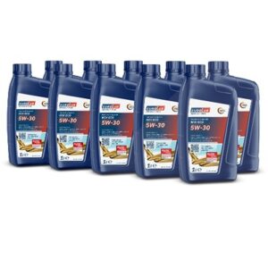 Eurolub 10x 1 L WIV ECO SAE 5W/30 [Hersteller-Nr. 211001]